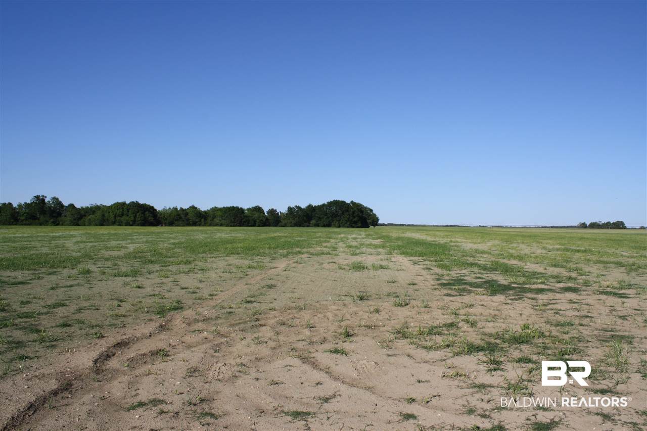 0 Vernant Park Road Foley, AL 36535 - Photo 20 of 20