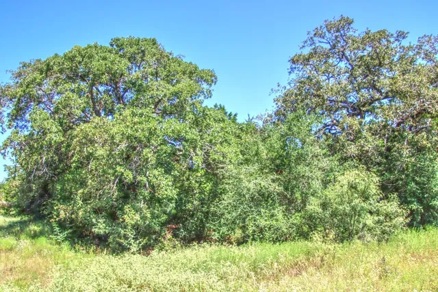 a backyard of a house with lots of green space