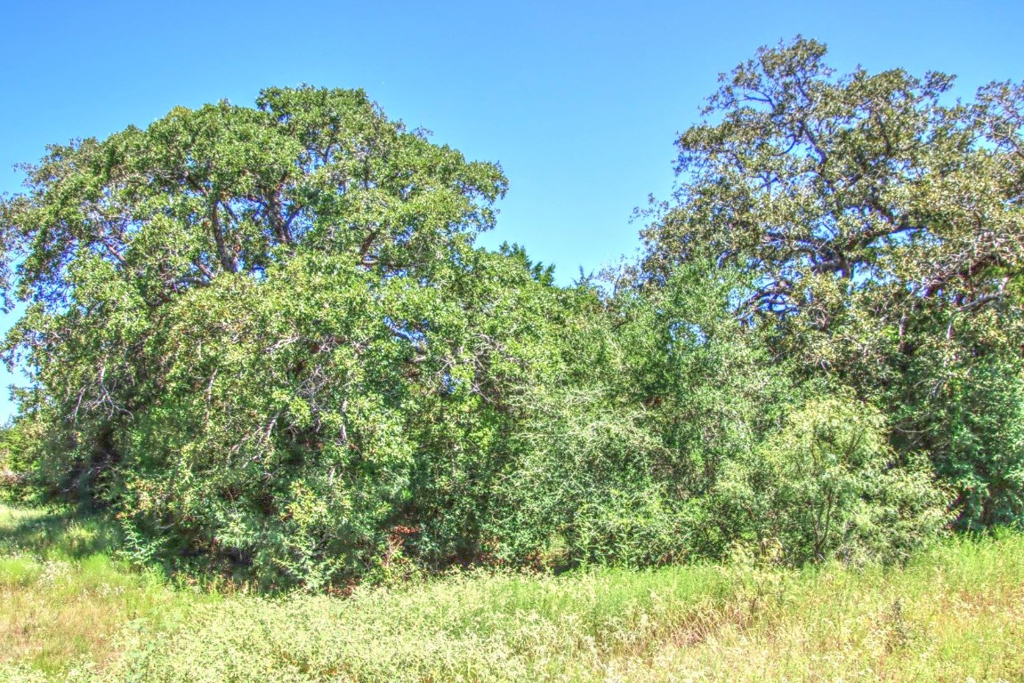 0 Hellinger Road Flatonia, TX 78941 - Photo 3 of 8 a backyard of a house with lots of green space