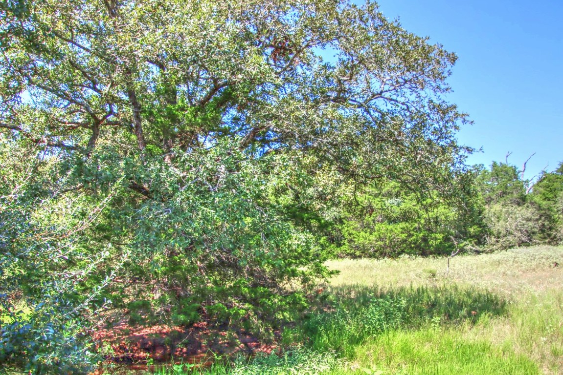 0 Hellinger Road Flatonia, TX 78941 - Photo 4 of 8 a view of a yard