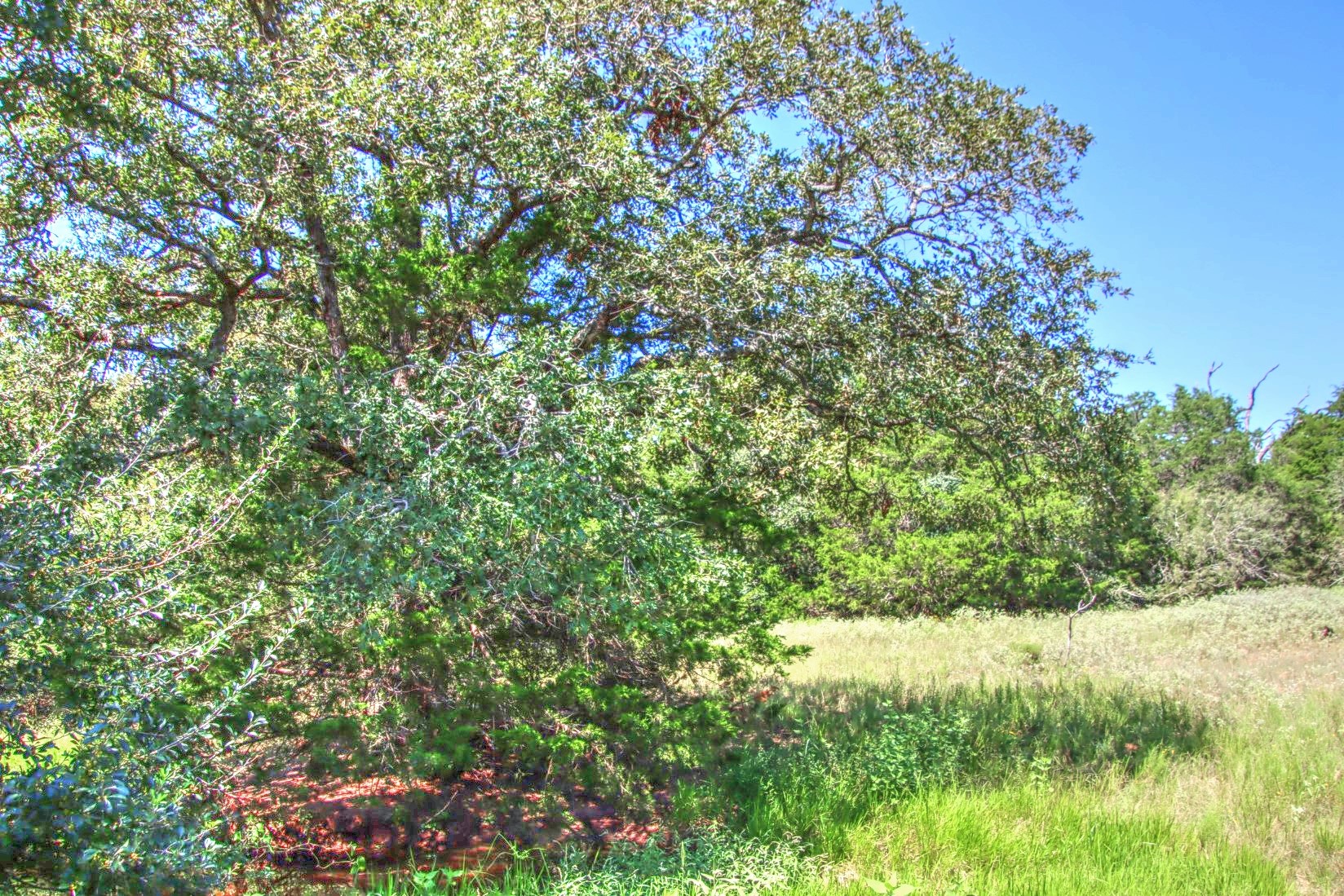 0 Hellinger Road Flatonia, TX 78941 - Photo 4 of 8 a view of a yard