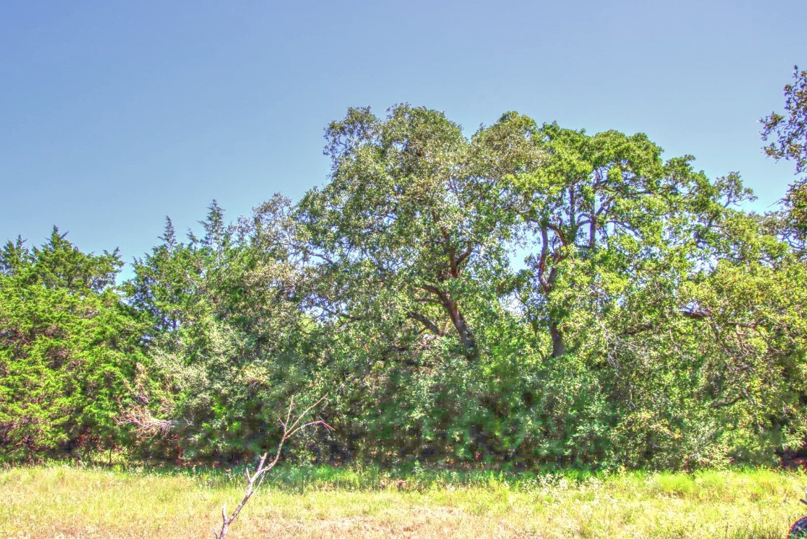 0 Hellinger Road Flatonia, TX 78941 - Photo 6 of 8 a backyard of a house with lots of green space and house in the back
