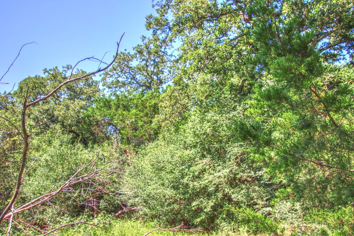 0 Hellinger Road Flatonia, TX 78941 - Photo 7 of 8 a view of a yard