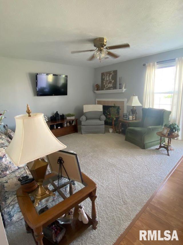 2416 Basil Drive Springfield, IL 62707 - Photo 3 of 13