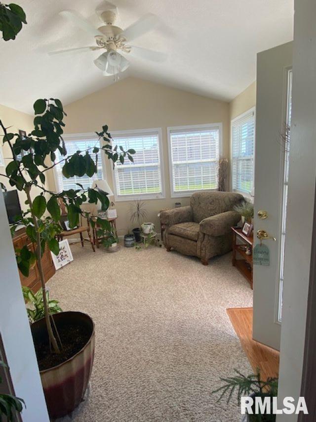 2416 Basil Drive Springfield, IL 62707 - Photo 8 of 13