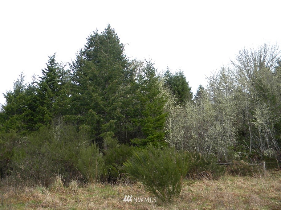 2 Kahout Road Curtis, WA 98538 - Photo 1 of 6