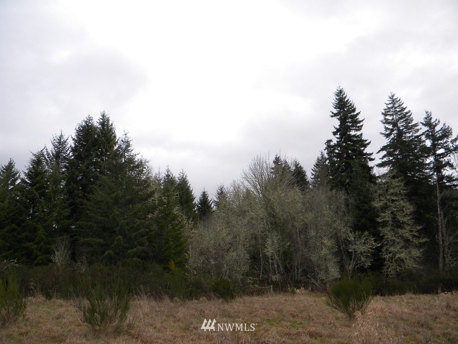 2 Kahout Road Curtis, WA 98538 - Photo 2 of 6
