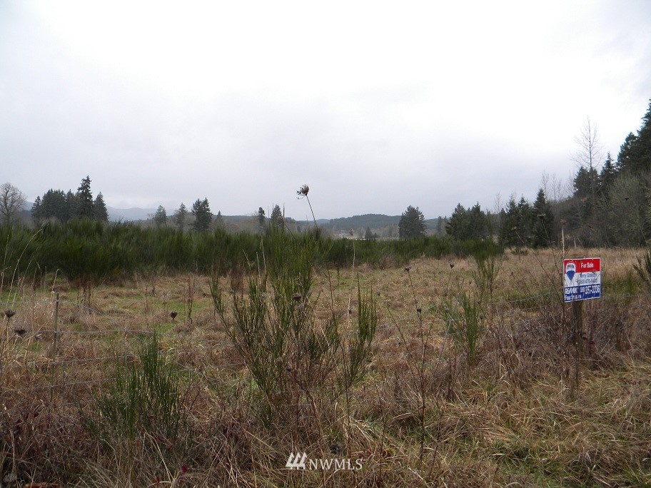 2 Kahout Road Curtis, WA 98538 - Photo 5 of 6