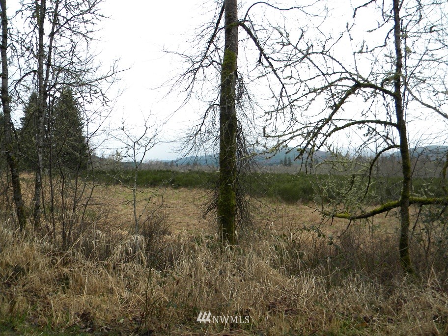 2 Kahout Road Curtis, WA 98538 - Photo 6 of 6