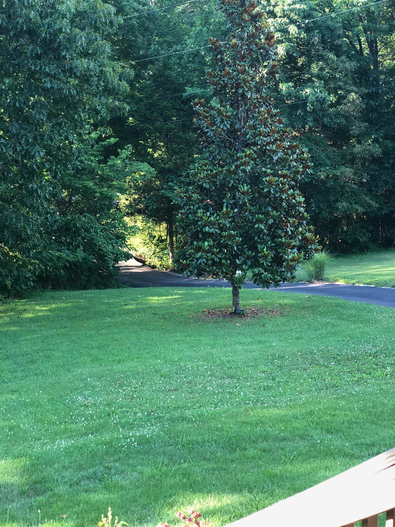 6429 Kelly Willis Road Greenbrier, TN 37073 - Photo 3 of 24 Gallery Image 3