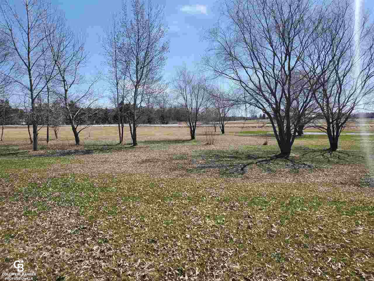 8029 Emmett Road Yale, MI 48097 - Photo 18 of 21