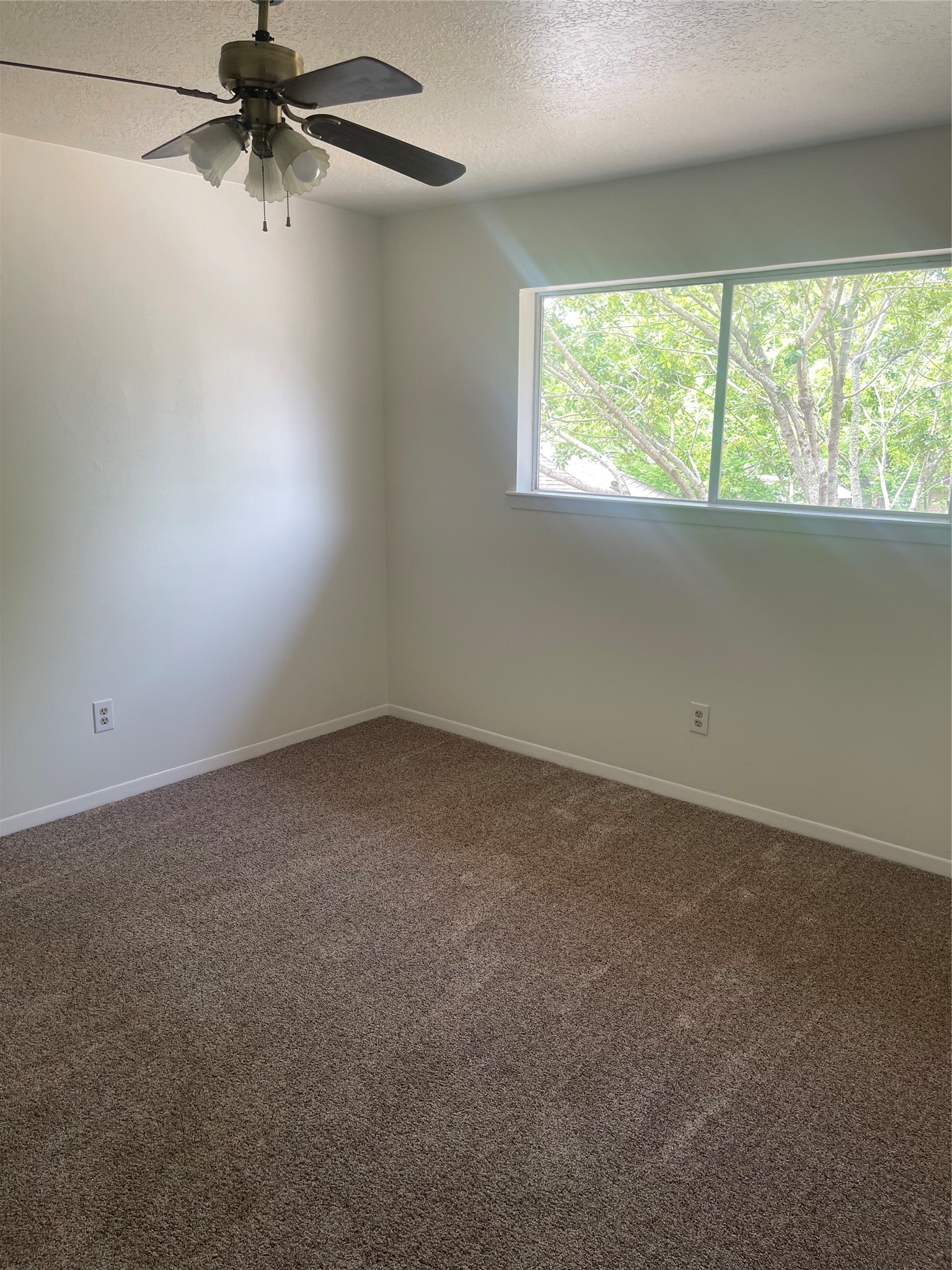 17719 Cassina Drive Spring, TX 77388 - Photo 15 of 22