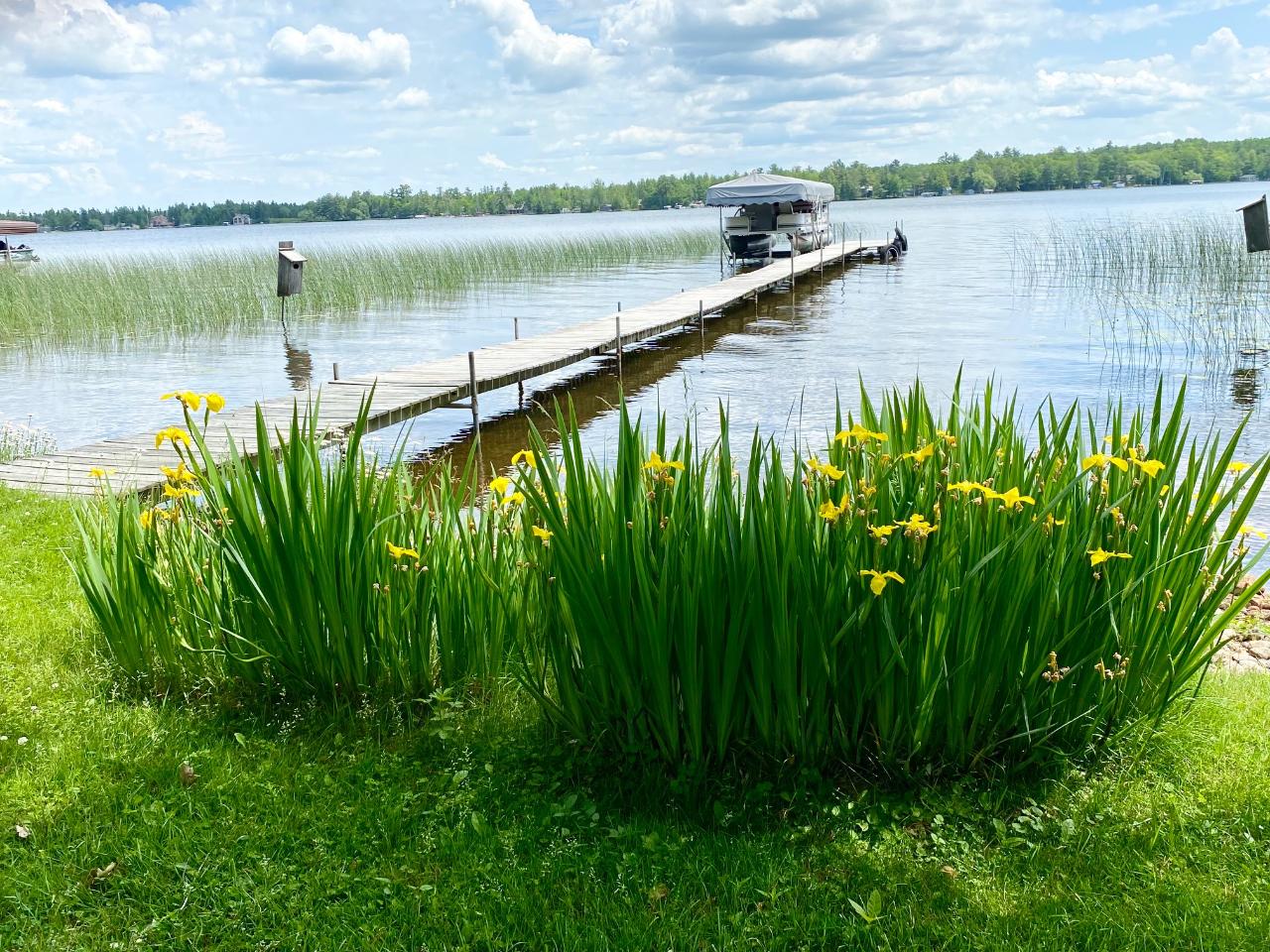 2431 Norway Point Road Pelican Lake, WI 54463 - Photo 24 of 31 Gallery Image 24