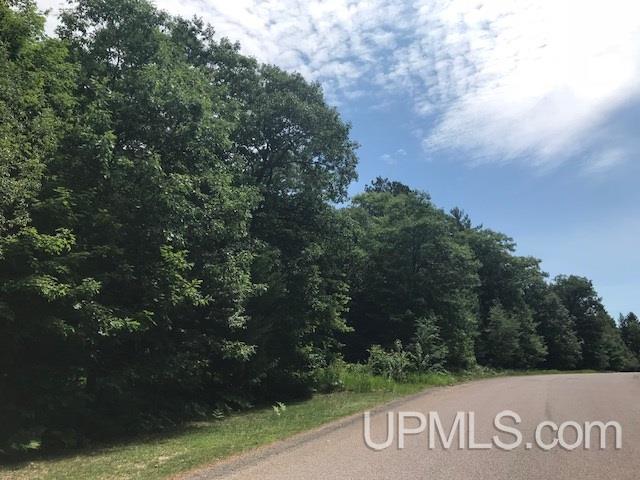 Tbd Bishop Woods Road, Unit RIDGE PARCEL Marquette, MI 49855 - Photo 2 of 4 Gallery Image 2