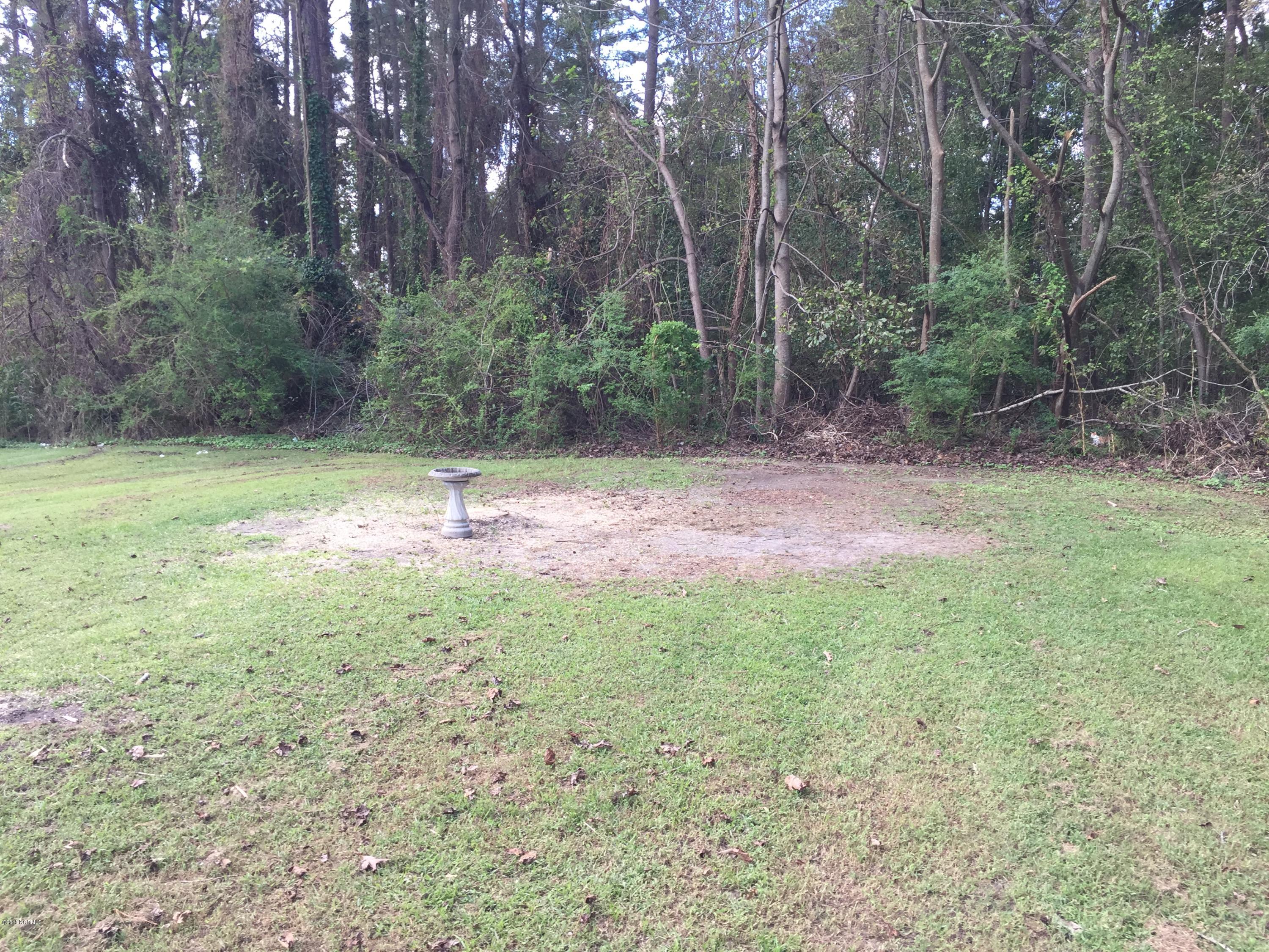 335 Washington Post Road New Bern, NC 28562 - Photo 16 of 38 Backyard