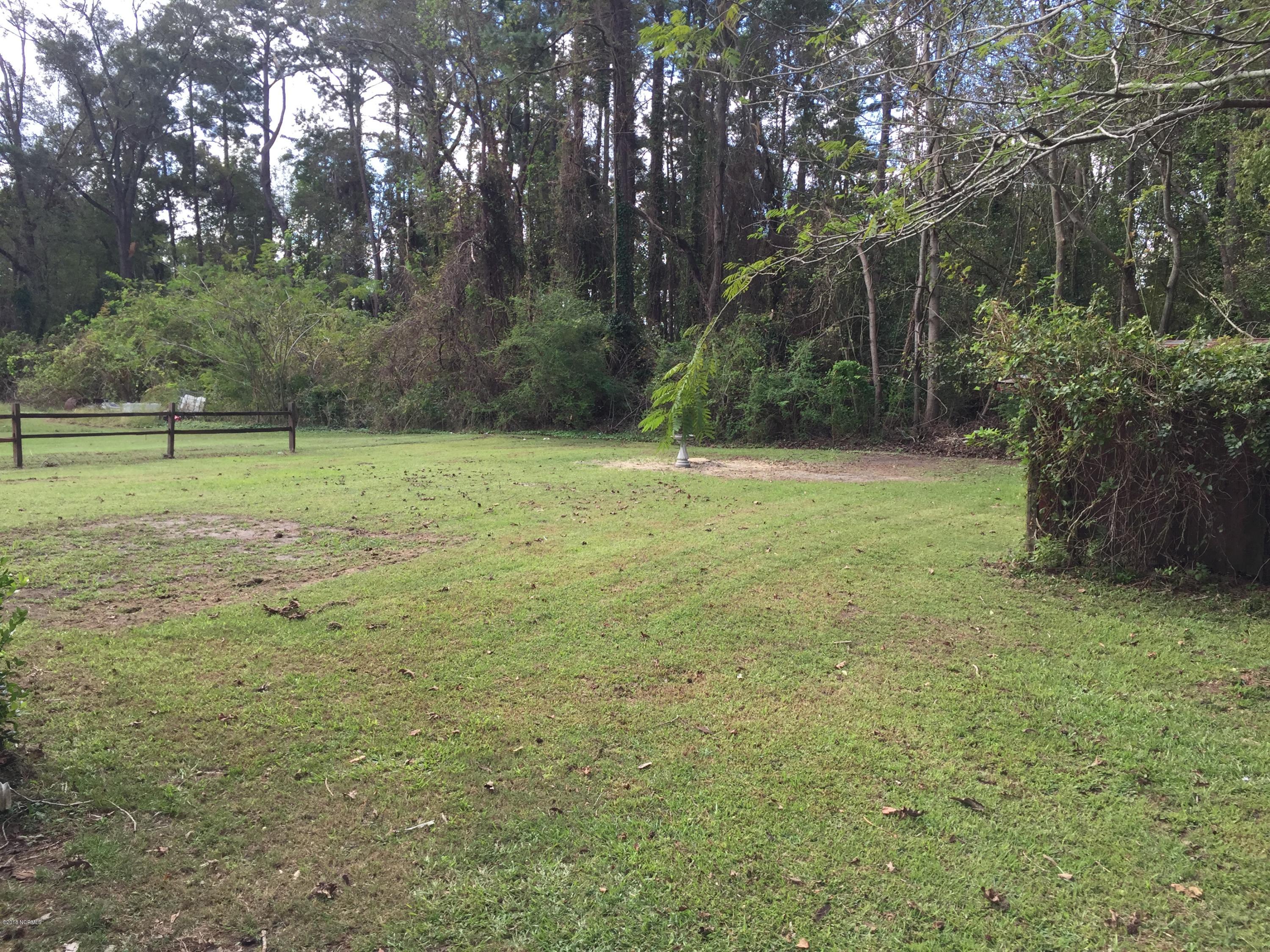 335 Washington Post Road New Bern, NC 28562 - Photo 27 of 38 Another view of the backyard
