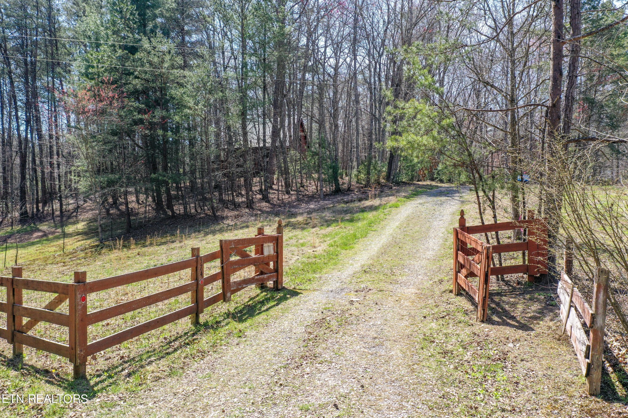 574 Yellow Nugget Road Tellico Plains, TN 37385 - Photo 46 of 60 Gallery Image 46
