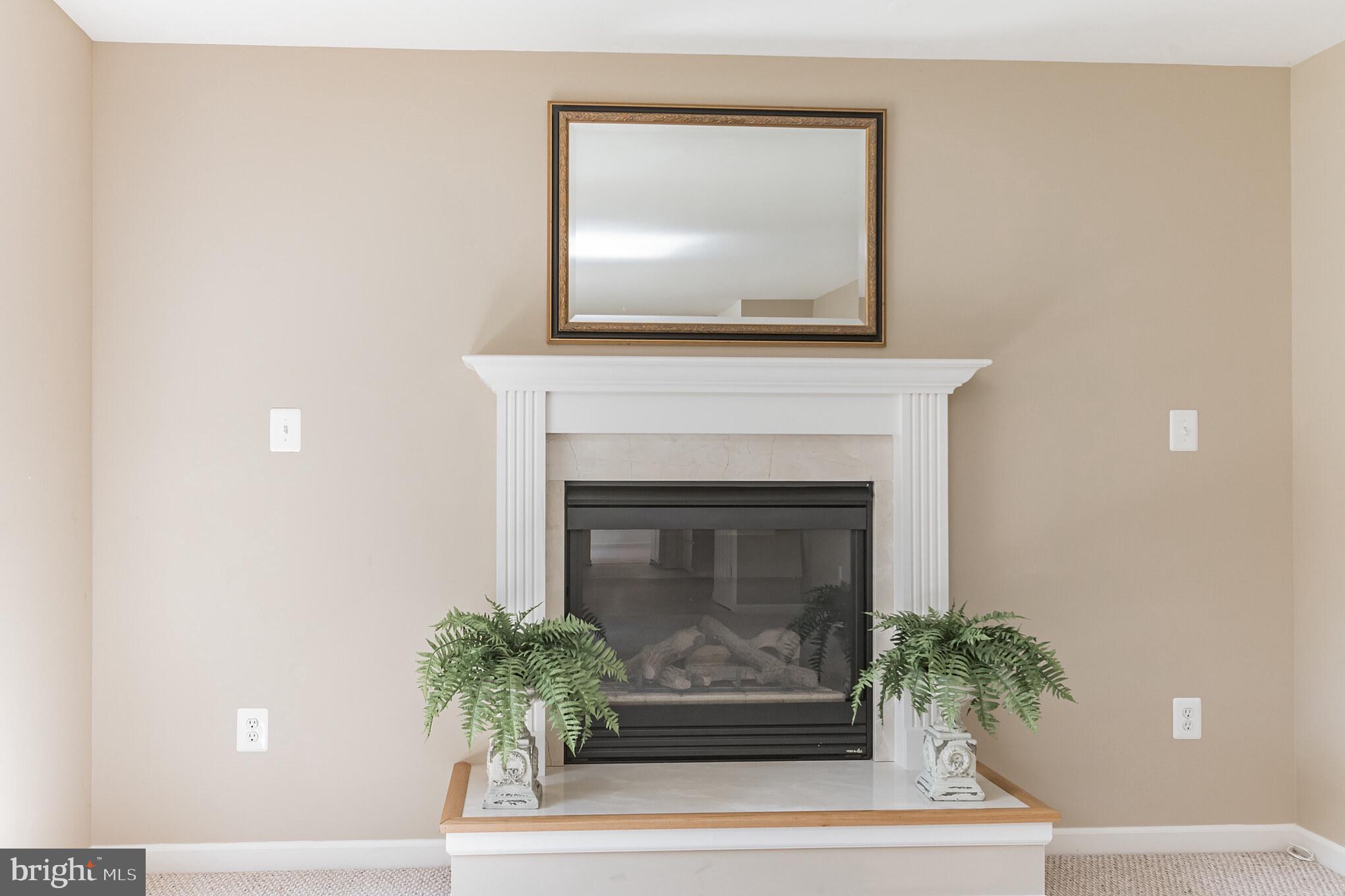 6620 Ridge Road Eldersburg, MD 21784 - Photo 14 of 51 Gas Fireplace with Mantle