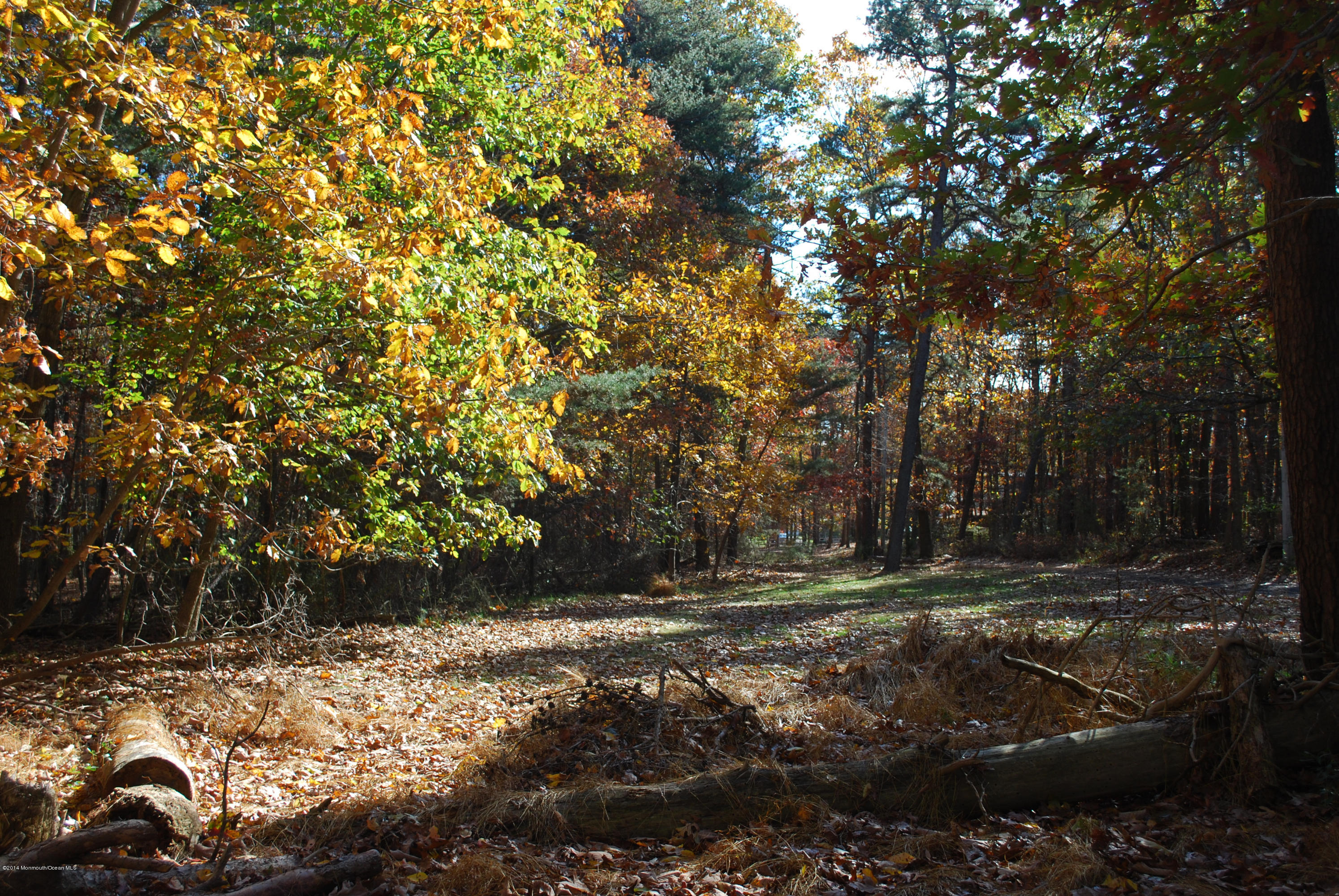 442 Freehold Road Jackson, NJ 08527 - Photo 1 of 3 a view of backyard with green space