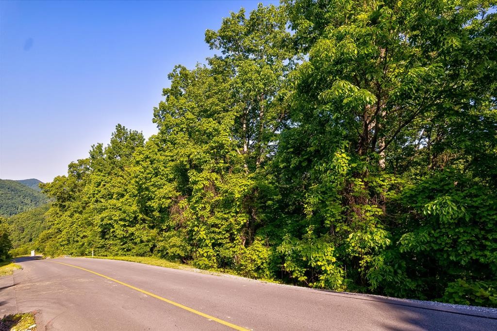 60 Redtail Road Sevierville, TN 37862 - Photo 10 of 26 Gallery Image 10