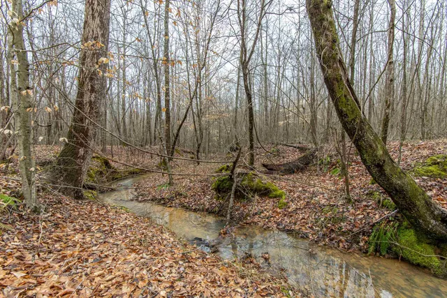 a view of a dry field