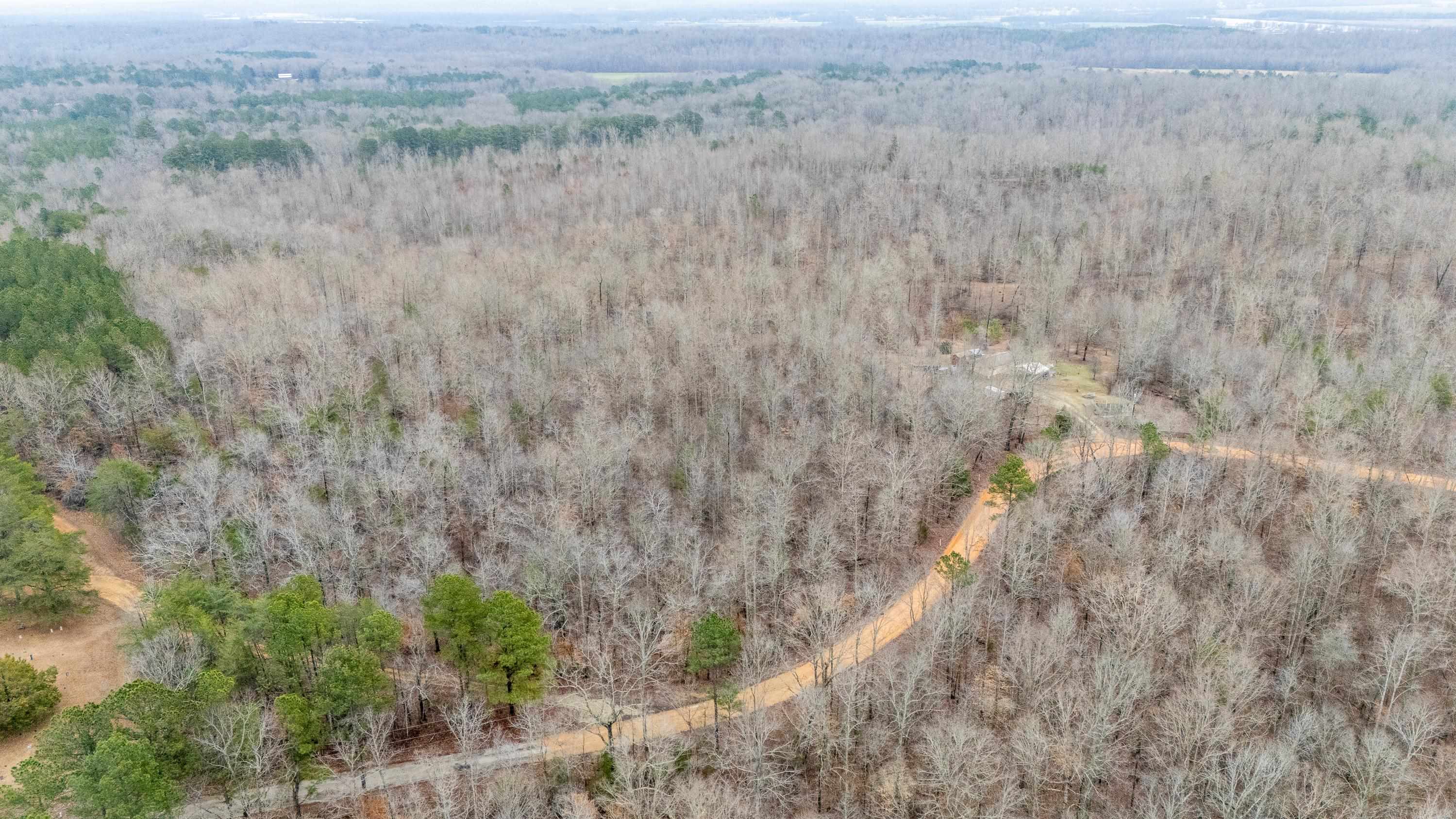 2040 Liberty Road Morris Chapel, TN 38361 - Photo 32 of 40 a view of a dry field