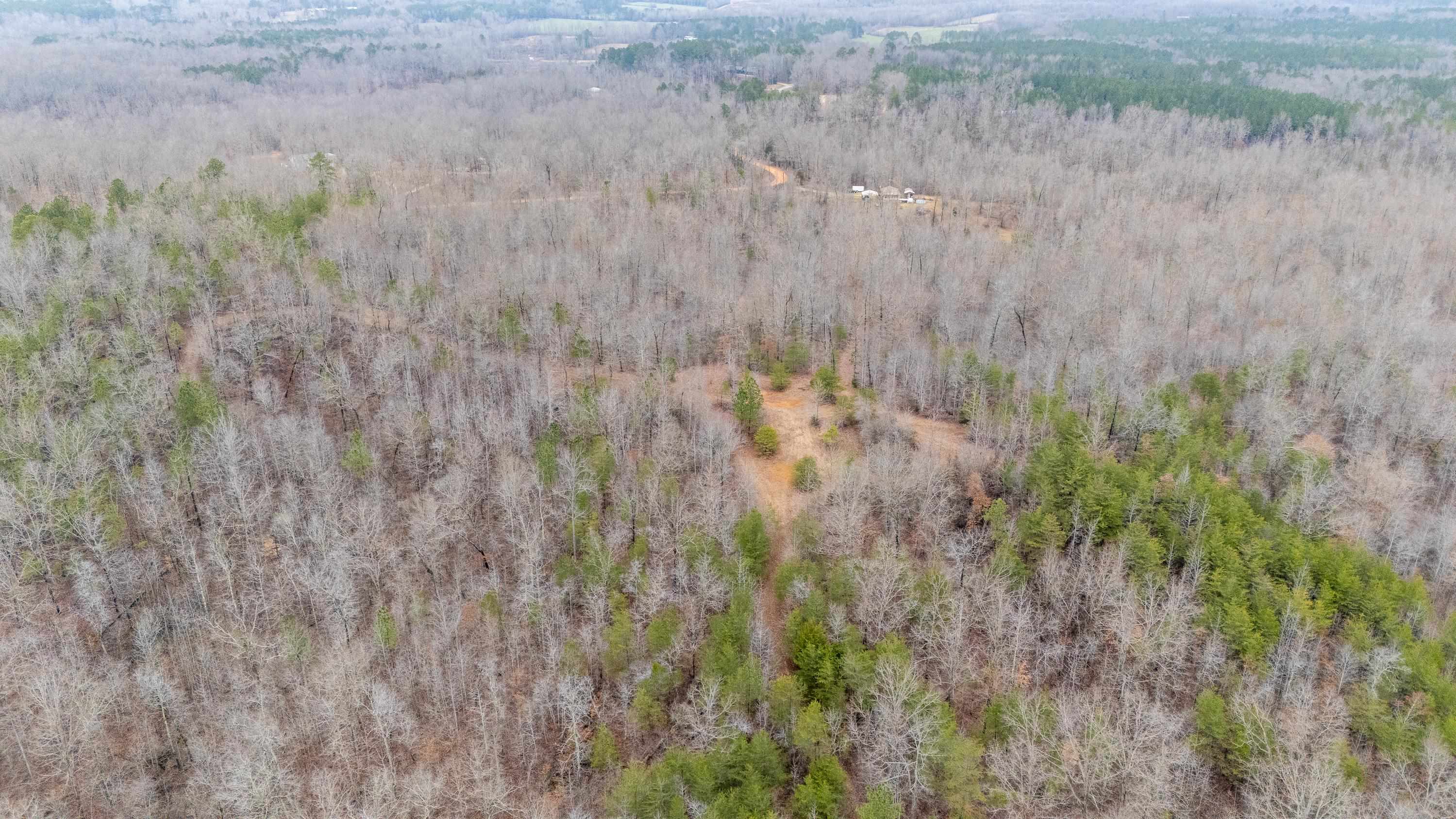 2040 Liberty Road Morris Chapel, TN 38361 - Photo 33 of 40 a view of a dry yard