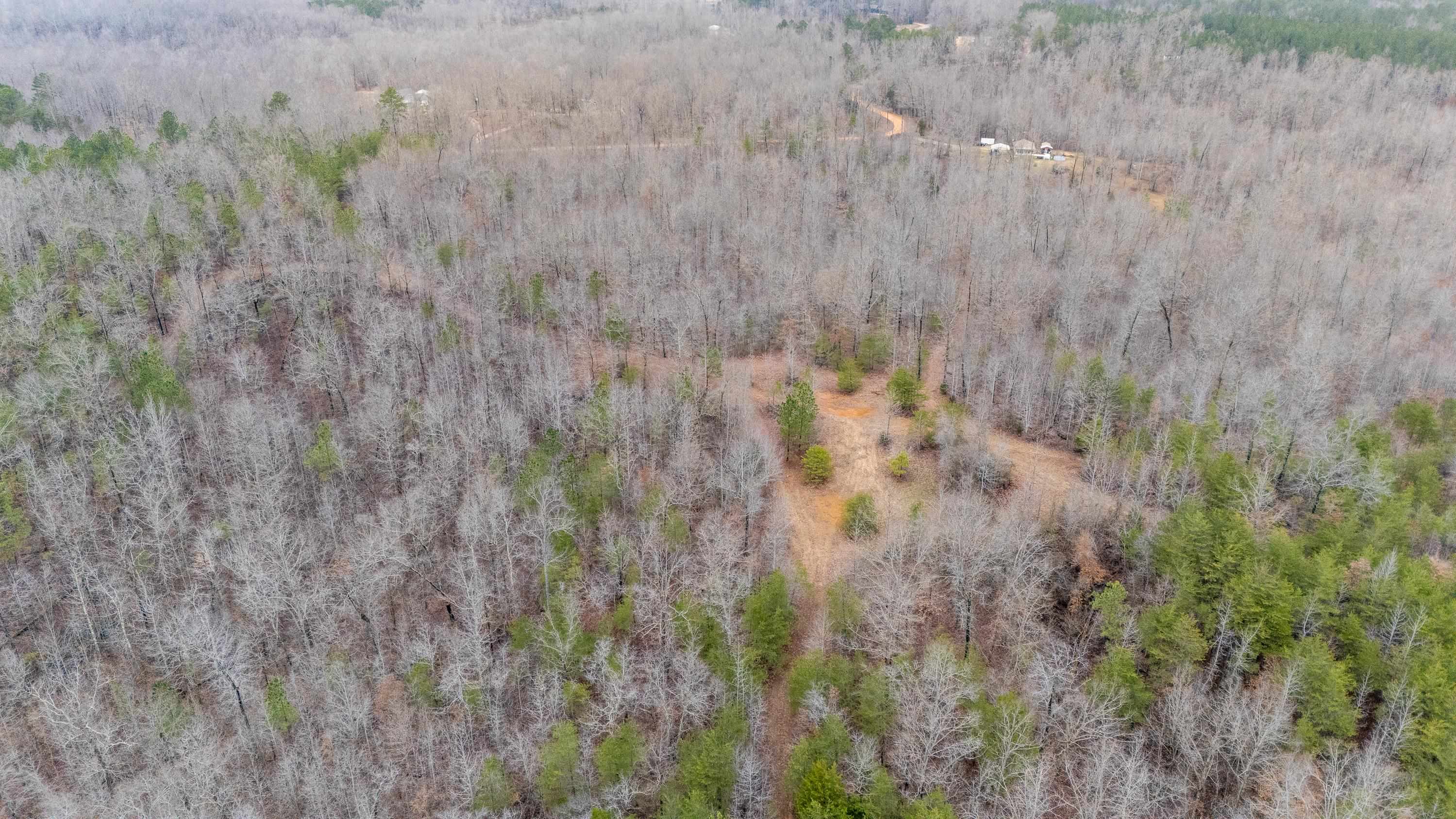 2040 Liberty Road Morris Chapel, TN 38361 - Photo 35 of 40 a view of a dry yard
