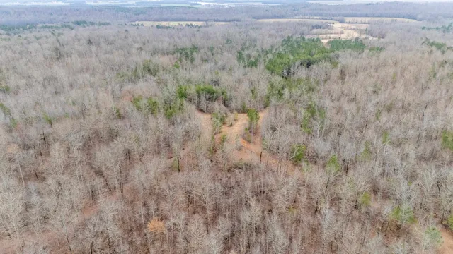a view of a dry yard