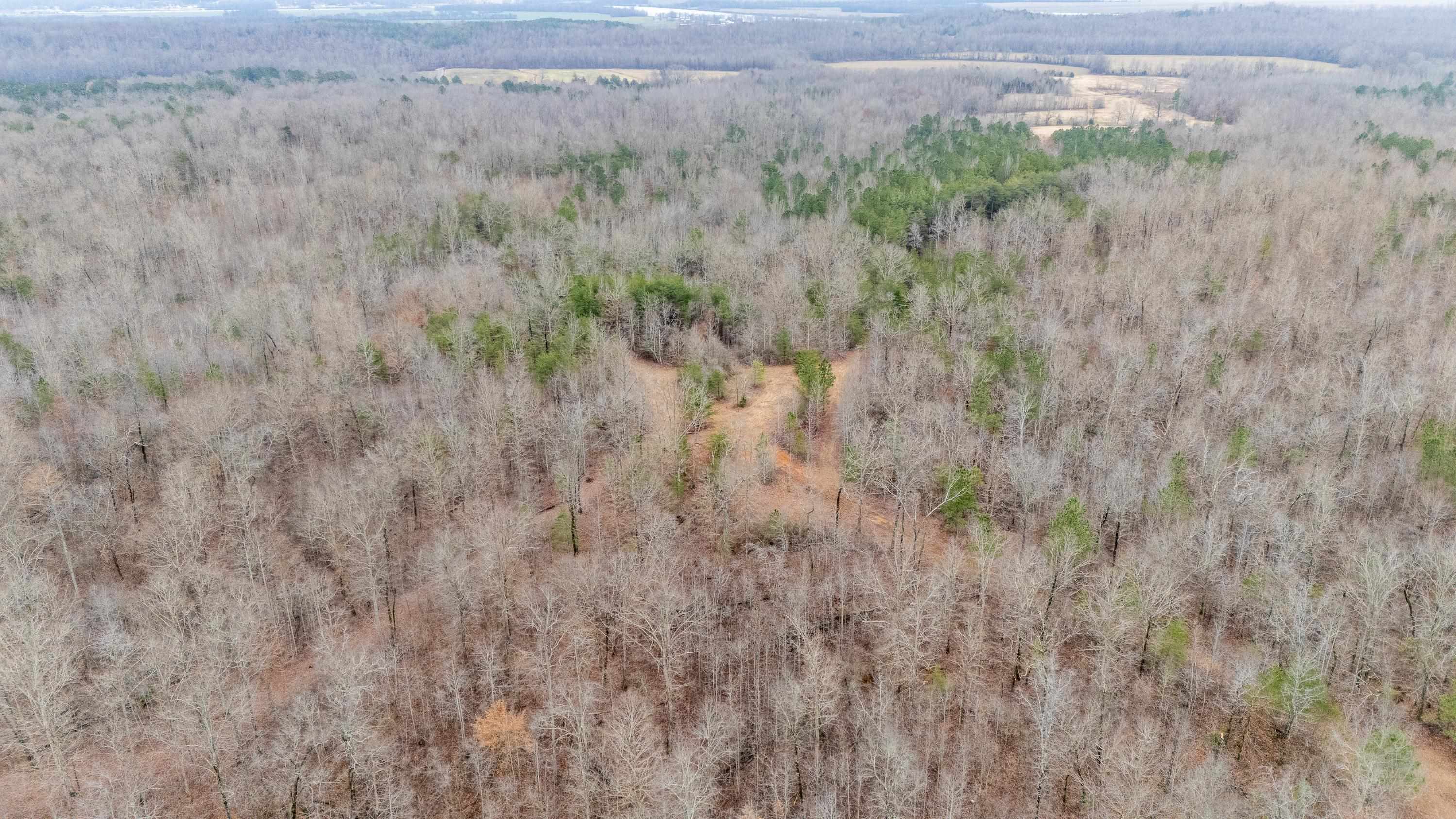 2040 Liberty Road Morris Chapel, TN 38361 - Photo 36 of 40 a view of a dry yard