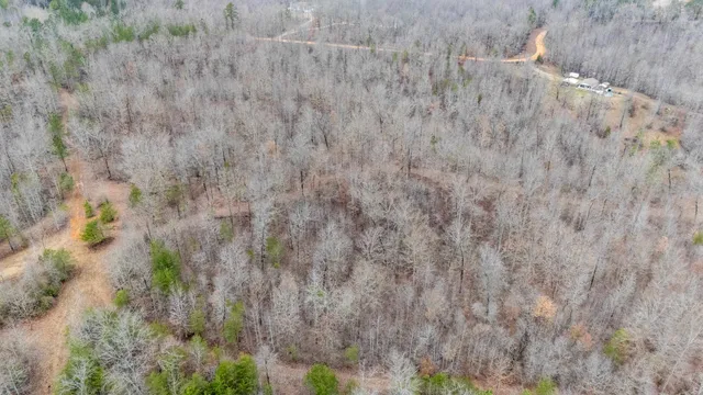 a view of a dry yard