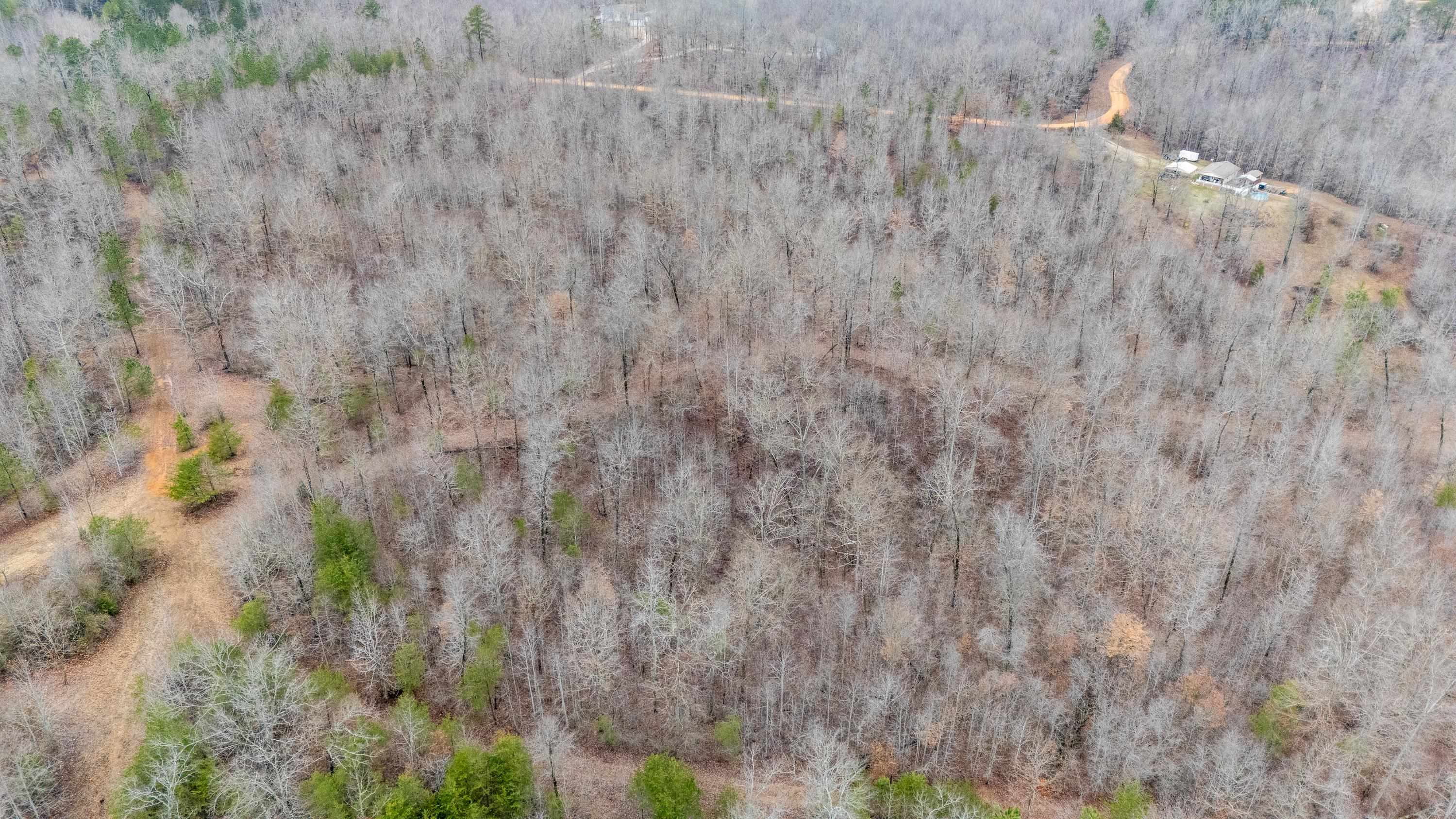 2040 Liberty Road Morris Chapel, TN 38361 - Photo 37 of 40 a view of a dry yard