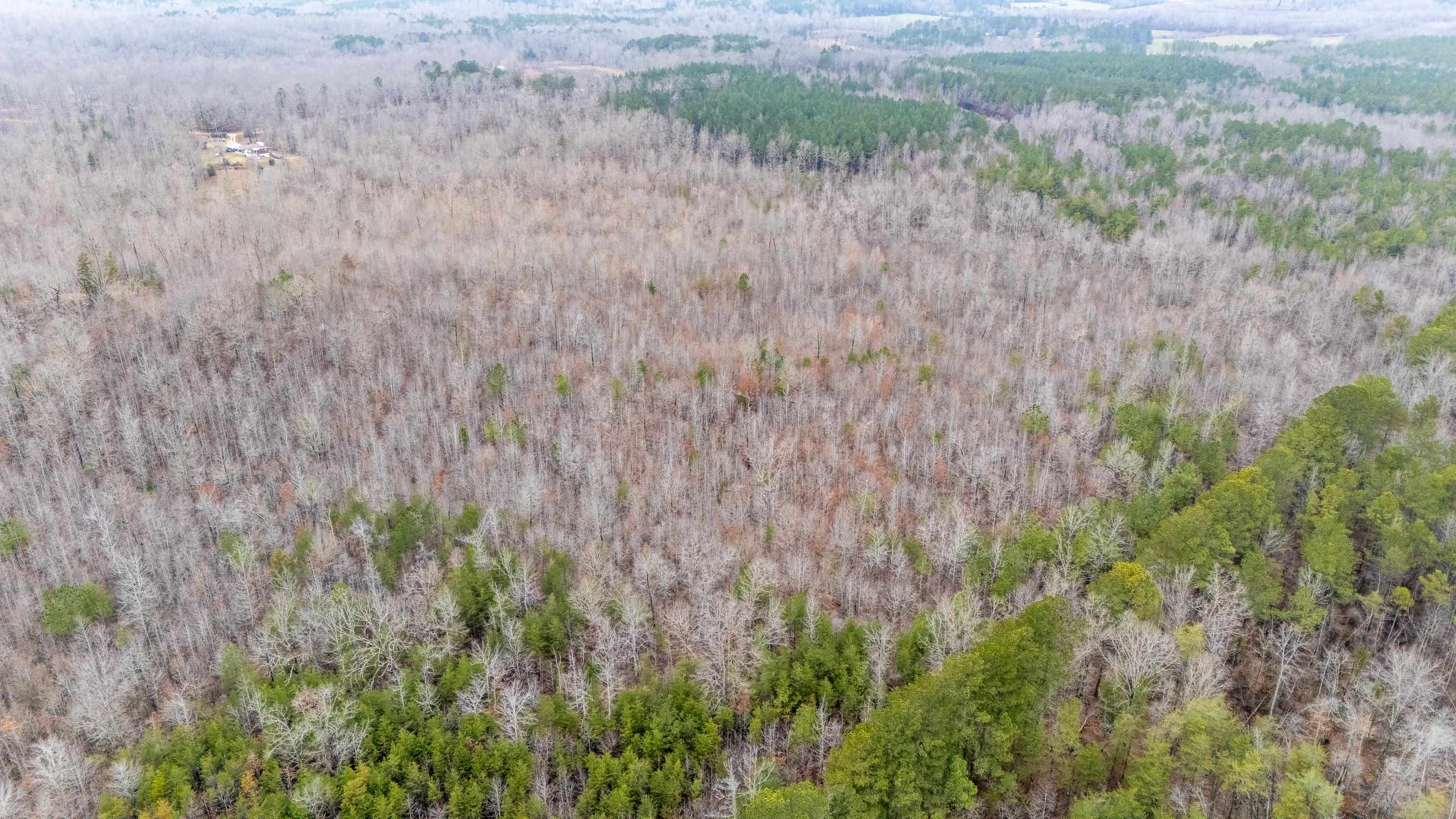 2040 Liberty Road Morris Chapel, TN 38361 - Photo 38 of 40 a view of a dry yard