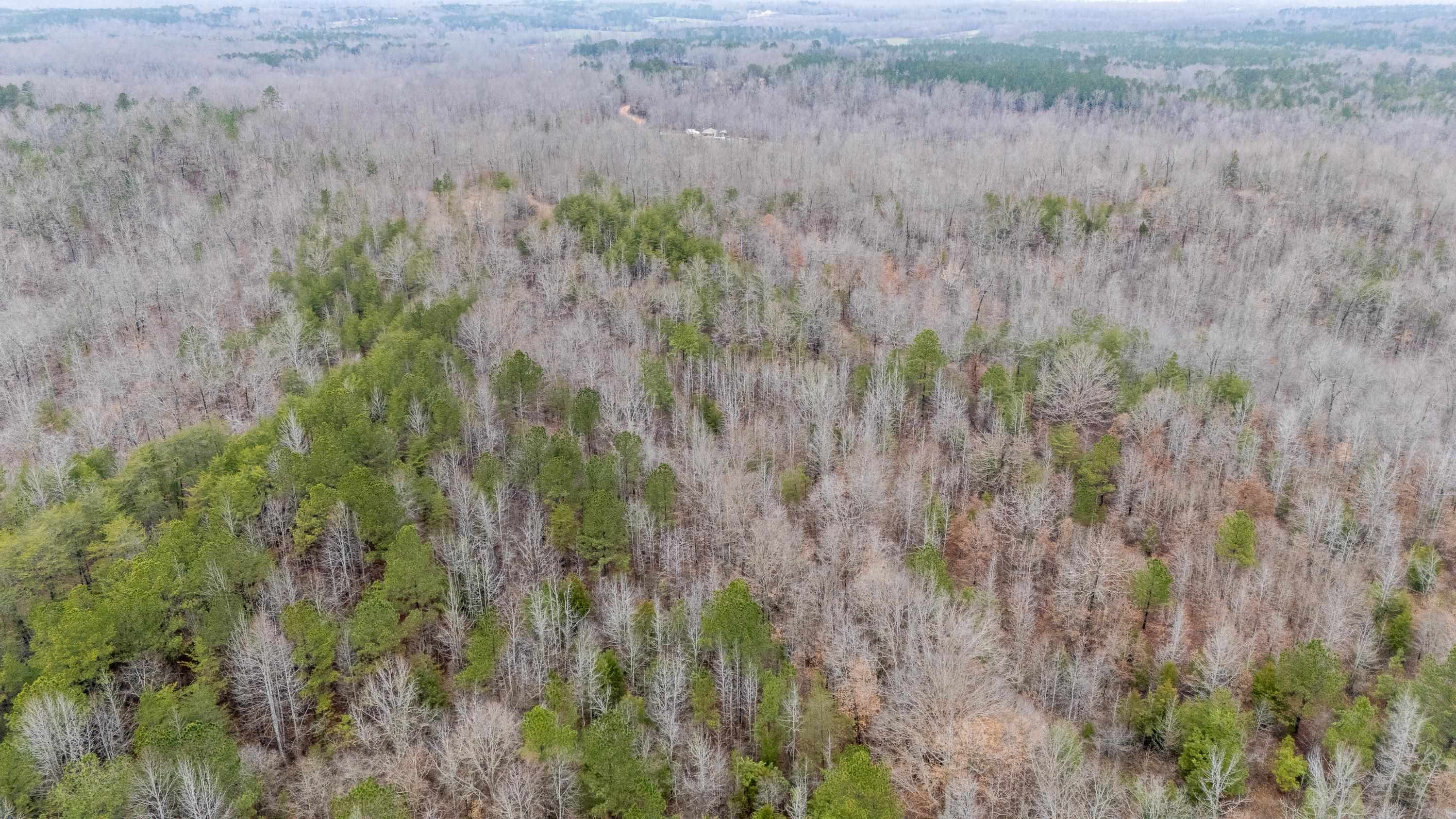2040 Liberty Road Morris Chapel, TN 38361 - Photo 39 of 40 a view of a lush green field
