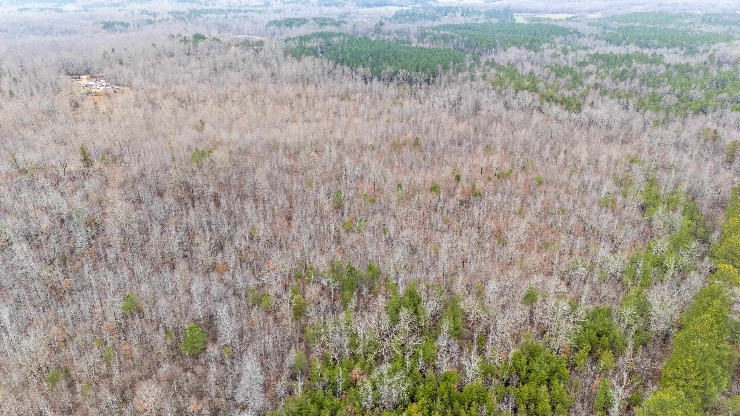 2040 Liberty Road Morris Chapel, TN 38361 - Photo 5 of 40