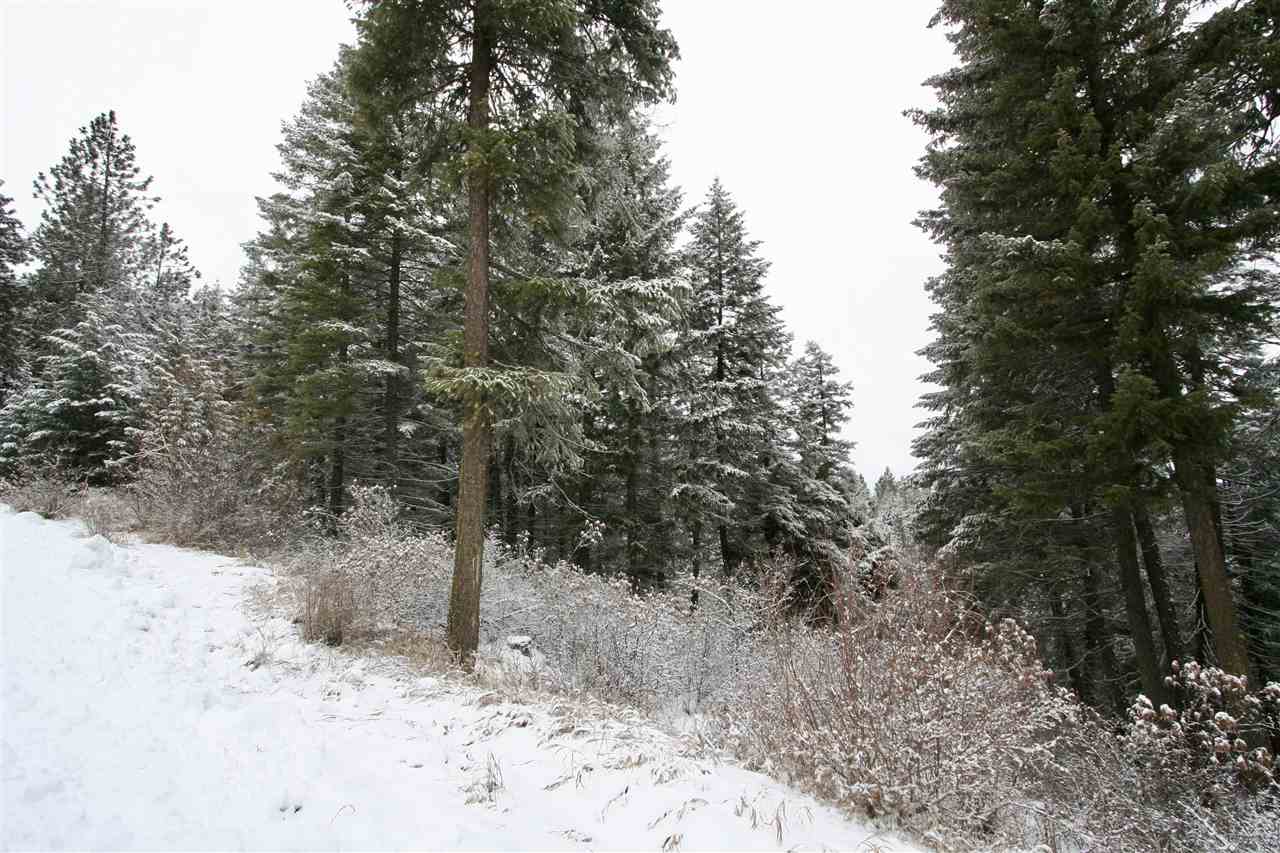 6812 South Bridle Lane Spokane Valley, WA 99016 - Photo 2 of 16