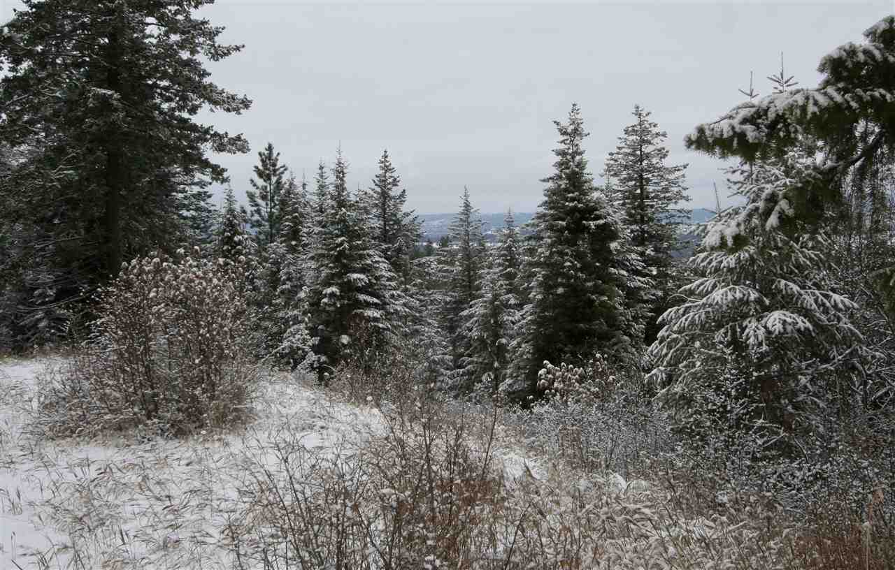 6812 South Bridle Lane Spokane Valley, WA 99016 - Photo 11 of 16