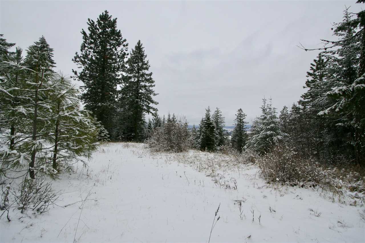 6812 South Bridle Lane Spokane Valley, WA 99016 - Photo 12 of 16