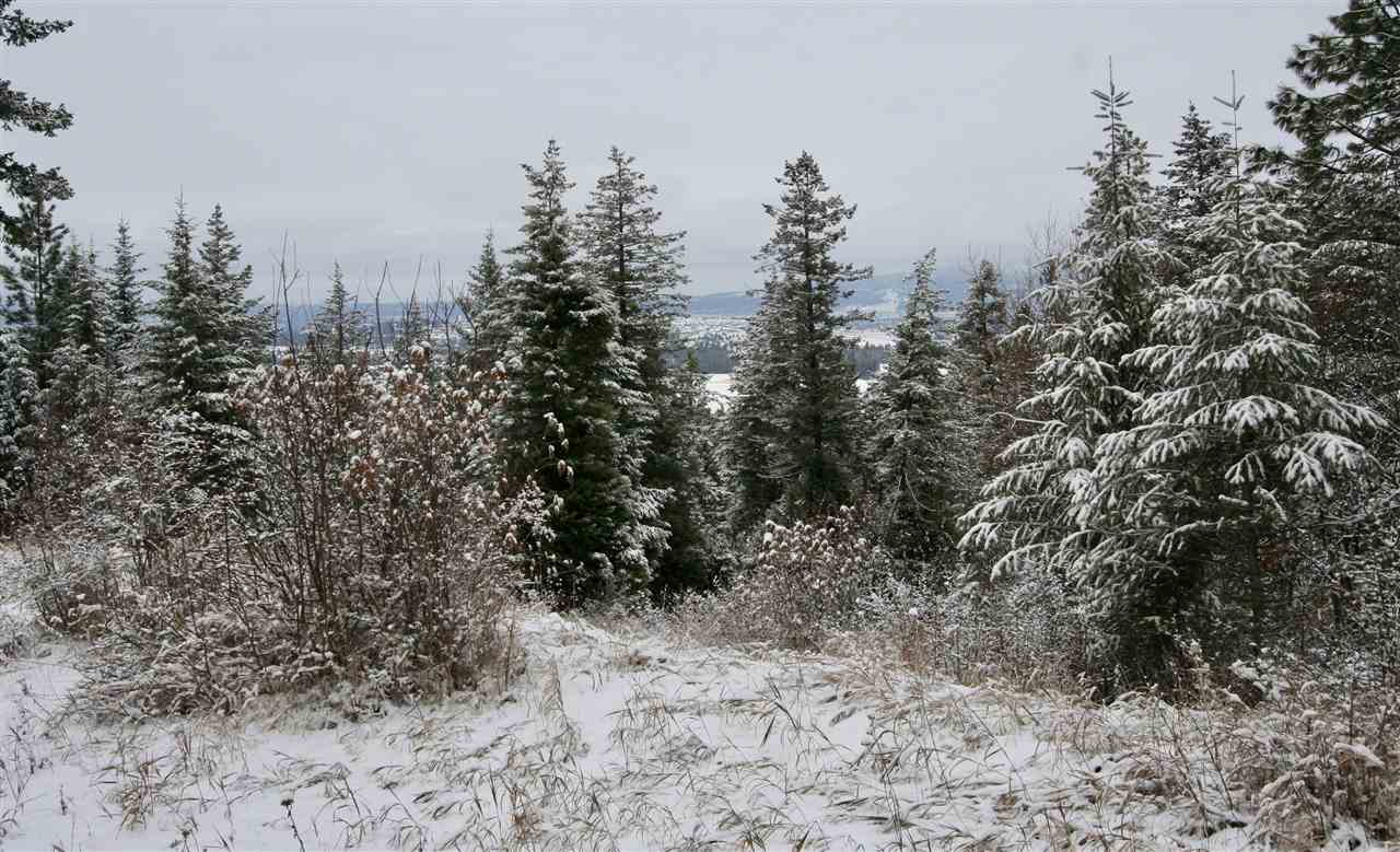 6812 South Bridle Lane Spokane Valley, WA 99016 - Photo 13 of 16