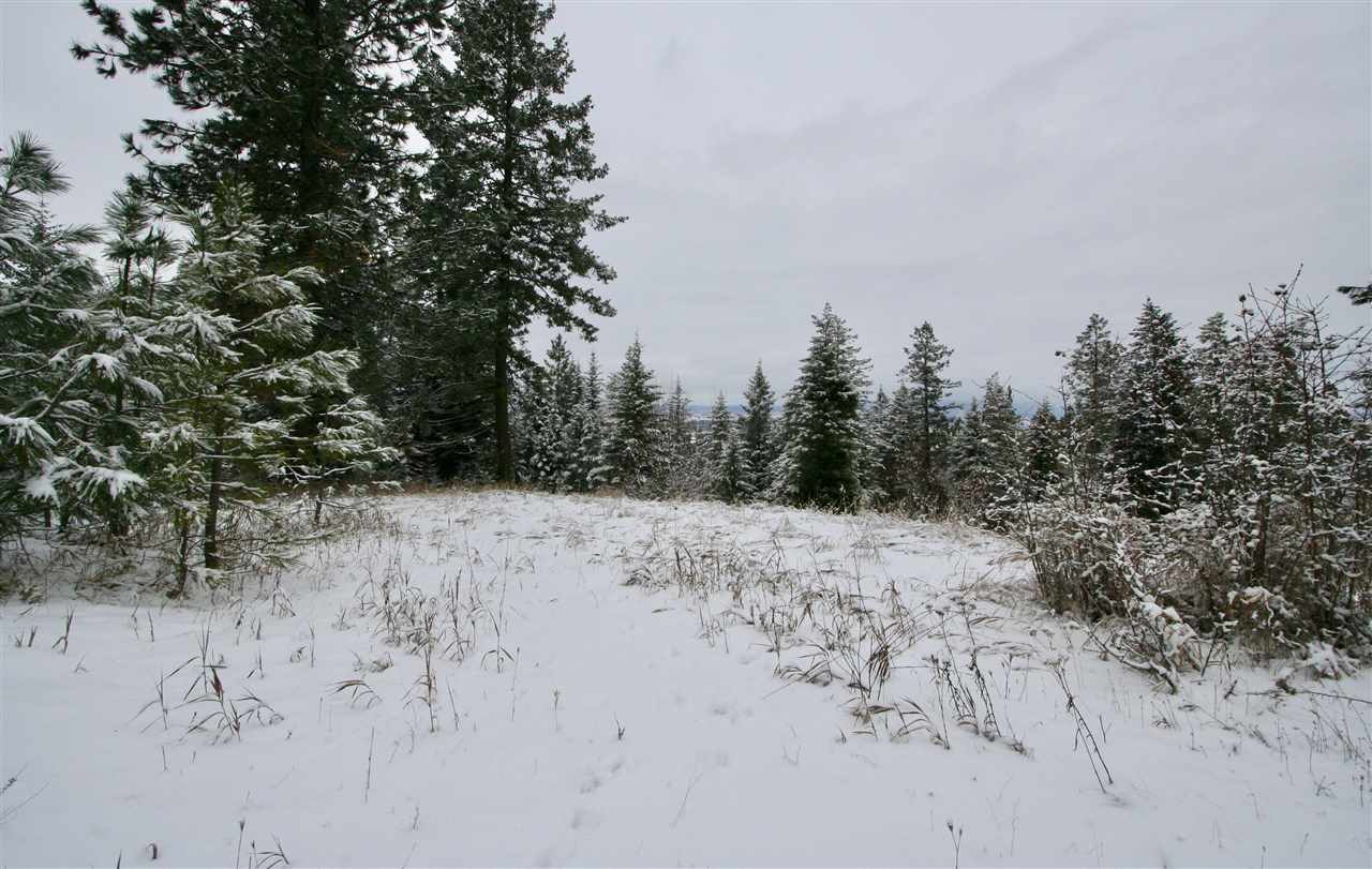 6812 South Bridle Lane Spokane Valley, WA 99016 - Photo 14 of 16