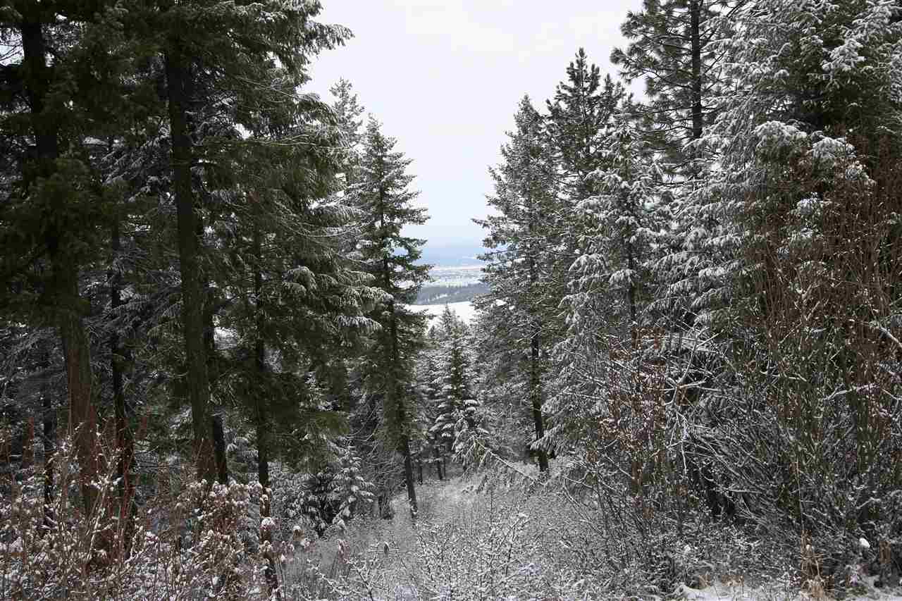 6812 South Bridle Lane Spokane Valley, WA 99016 - Photo 3 of 16
