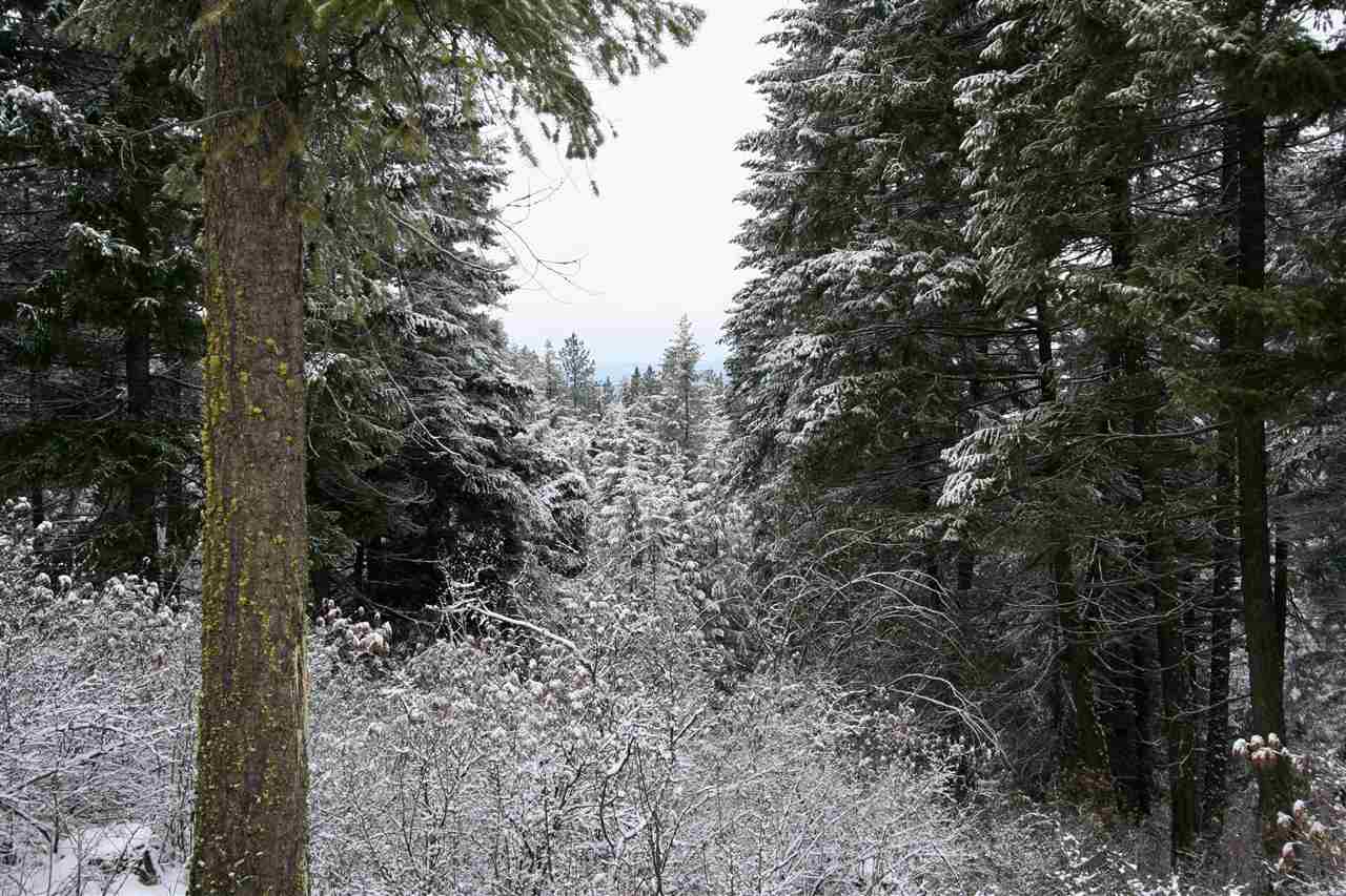 6812 South Bridle Lane Spokane Valley, WA 99016 - Photo 4 of 16