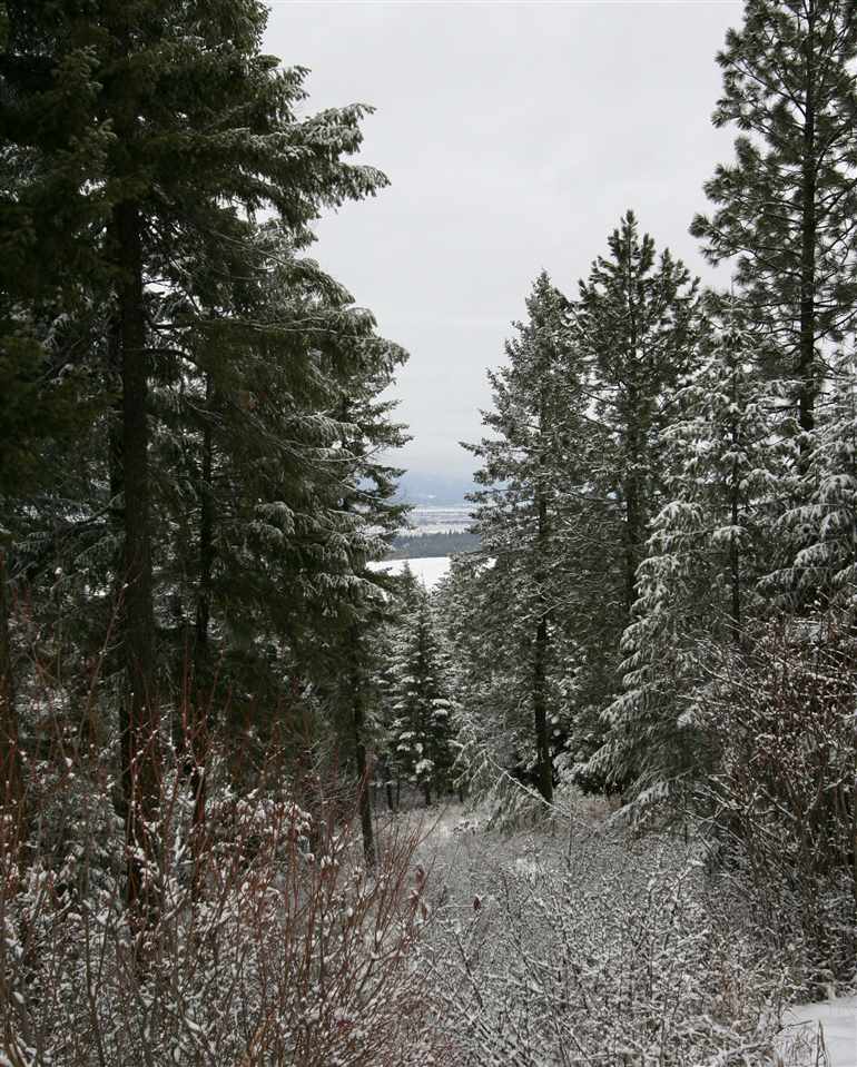 6812 South Bridle Lane Spokane Valley, WA 99016 - Photo 7 of 16