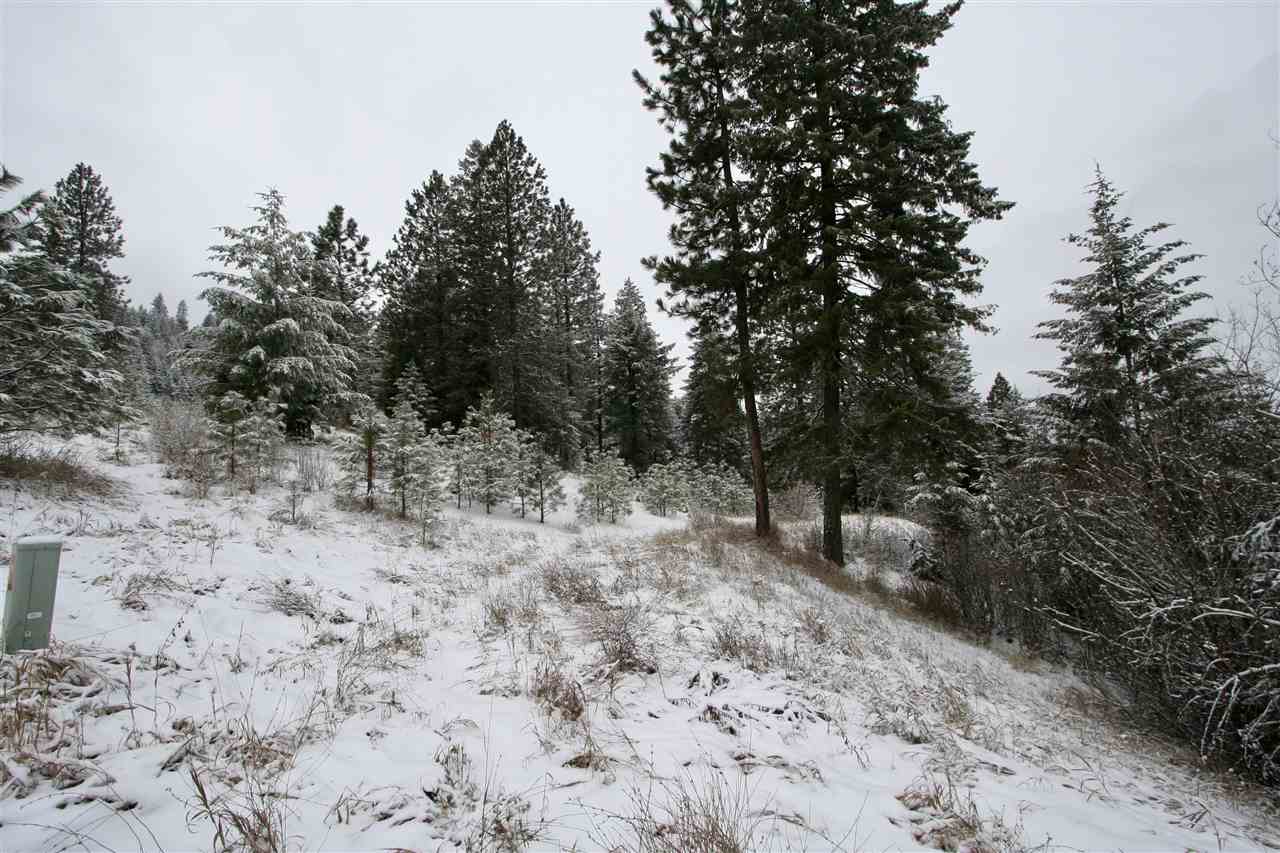 6812 South Bridle Lane Spokane Valley, WA 99016 - Photo 8 of 16