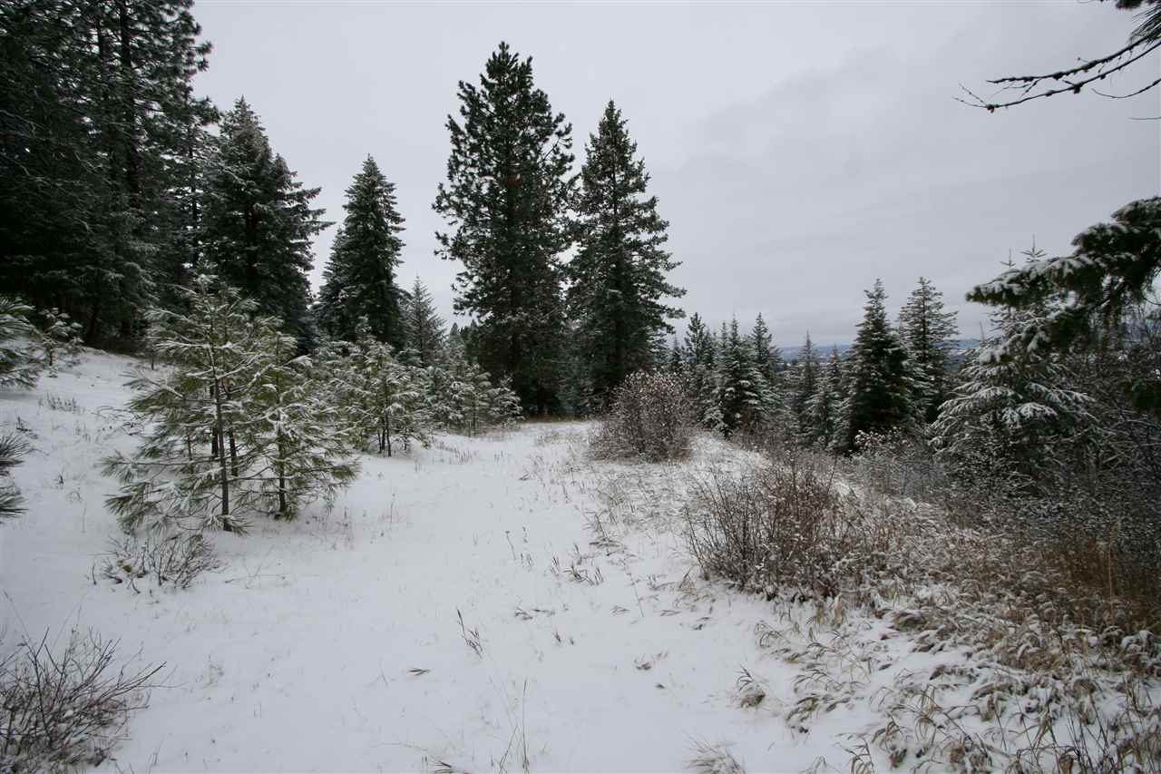 6812 South Bridle Lane Spokane Valley, WA 99016 - Photo 9 of 16