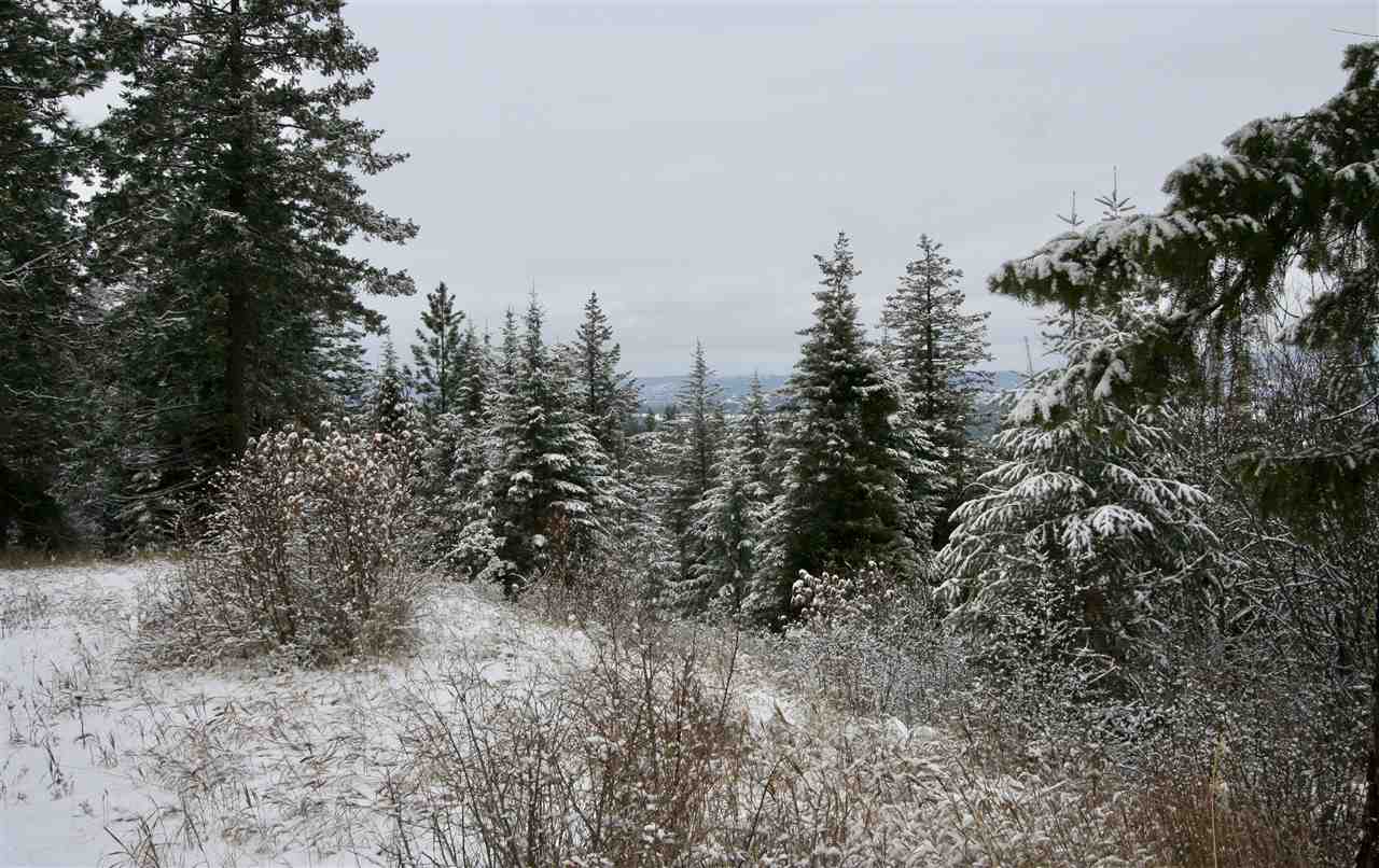 6812 South Bridle Lane Spokane Valley, WA 99016 - Photo 10 of 16