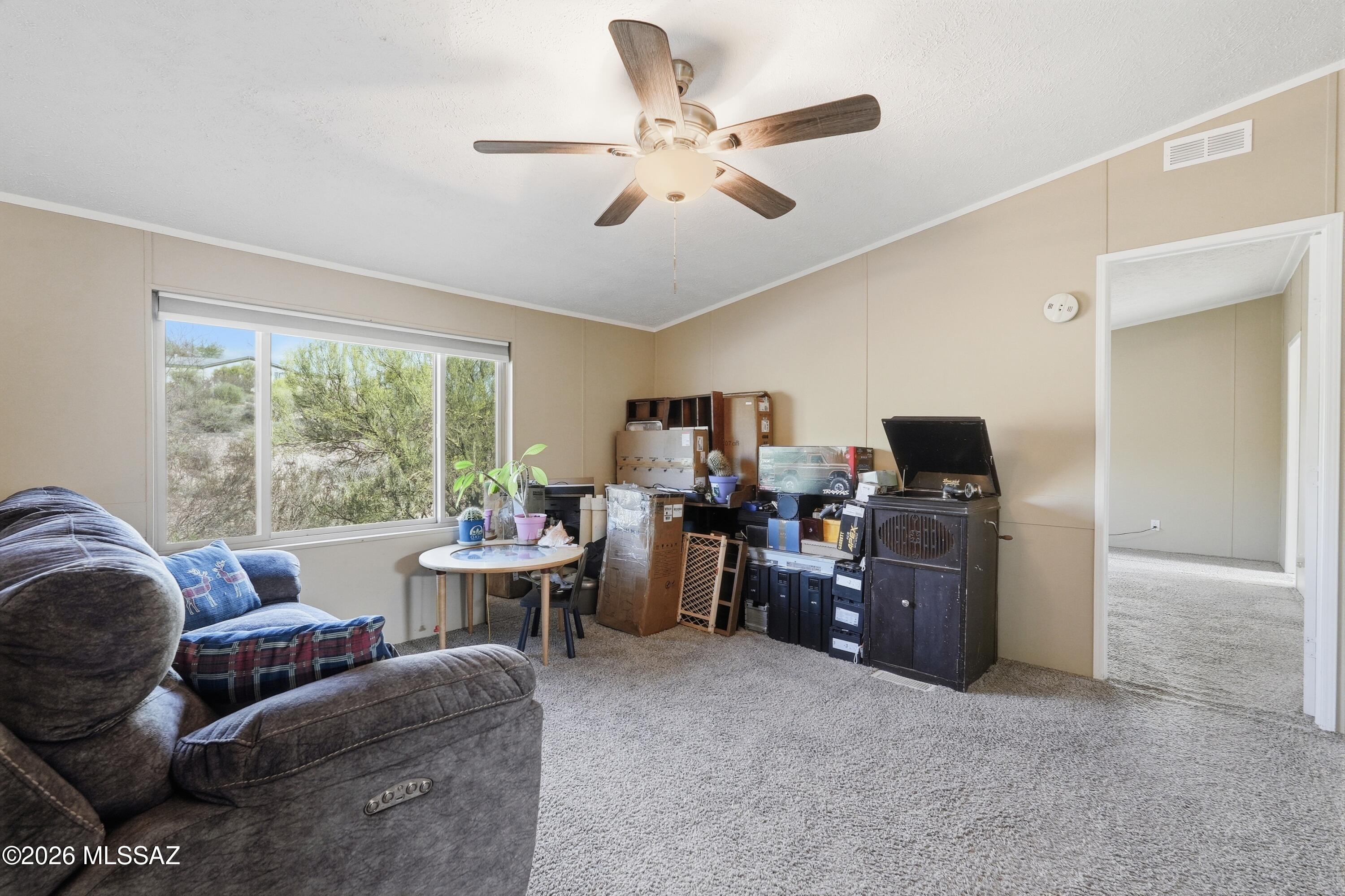 15680 East Colossal Cave Road Vail, AZ 85641 - Photo 16 of 51 Living Room