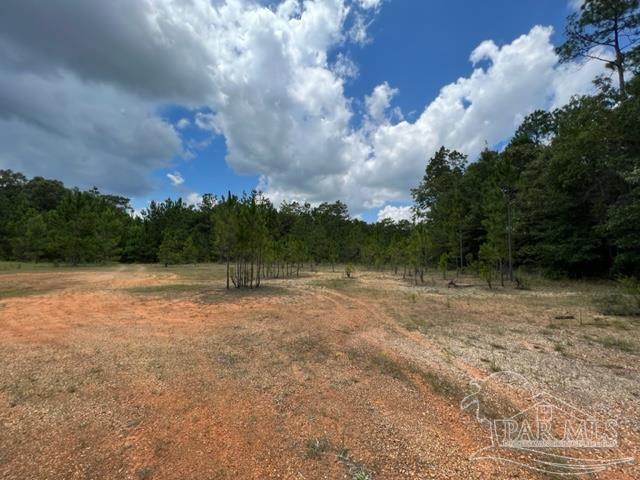 4800-block Wolf Log Road Flomaton, AL 36441 - Photo 4 of 12