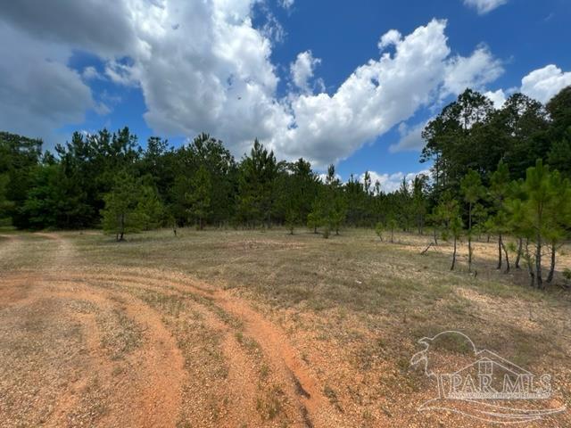 4800-block Wolf Log Road Flomaton, AL 36441 - Photo 7 of 12