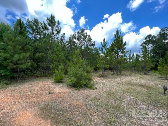 4800-block Wolf Log Road Flomaton, AL 36441 - Photo 8 of 12